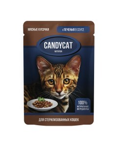 Влажный корм для кошек Печень в соусе для стерилизованных 85 г Candycat