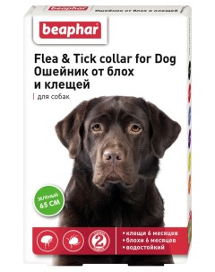 Ошейник для собак против блох клещей Flea Tick зеленый 65 см Beaphar