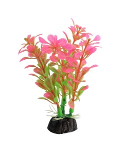 Искусственное растение для аквариума Альтернатера розовая 8 см пластик Laguna