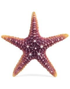 Грот для аквариума Морская звезда полиэфирная смола 16х16х3 см Laguna