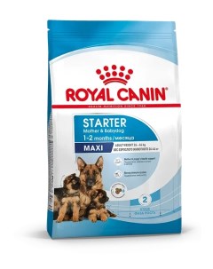 Сухой корм для щенков Maxi Starter для крупных пород до 2 х месяцев 4 кг Royal canin