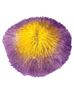 Коралл искусственный для аквариума Фунгия желто фиолетовая 100x40x100 мм Laguna aqua