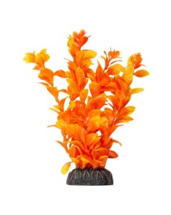 Растение для аквариума Людвигия ярко оранжевая 200 мм Laguna