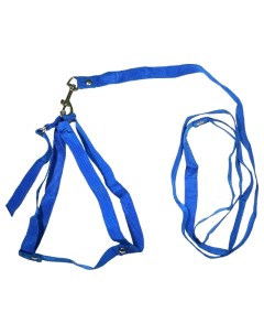 Комплект поводок шлейка капроновый синий для собак 65 см Zooexpress
