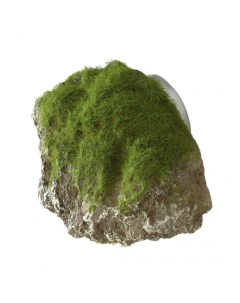 Камень для аквариума Moss Stone с мхом 9х6х6 5 см Aqua della