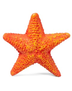 Грот для аквариума Морская звезда S полиэфирная смола 8 5х8 5х2 3 см Laguna