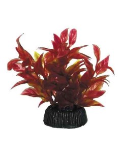 Искусственное растение для аквариума альтернантера красное 8 см пластик керамика Laguna