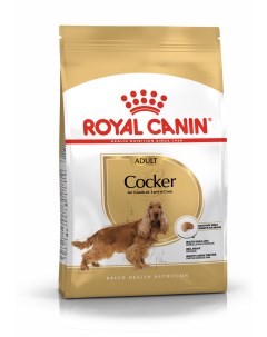 Сухой корм для собак Cocker Adult для породы Кокер Спаниель 3 кг Royal canin
