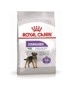 Сухой корм для собак для стерилизованных для малых пород 3 кг Royal canin