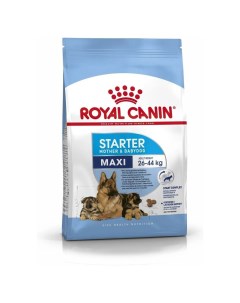 Сухой корм для щенков для крупных пород до 2 х месяцев 4 кг Royal canin
