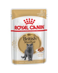 Влажный корм для кошек Feline Breed Nutrition British Shorthair мясо 85г Royal canin
