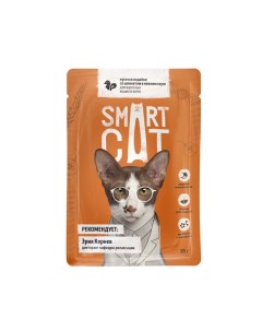 Влажный корм для кошек индейка 25шт по 85г Smart cat