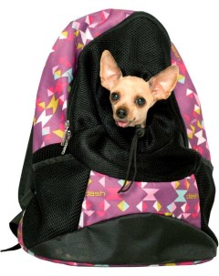 Рюкзак для собак 35x18x40см в ассортименте Zooexpress
