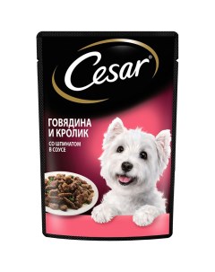 Влажный корм для собак для пород среднего размера говядина кролик 85г Cesar