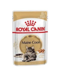 Влажный корм для кошек Maine Coon Adult говядина в соусе 85г Royal canin