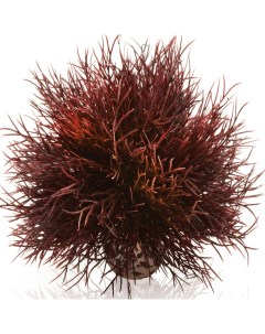 Искусственное растение для аквариума Малиновая морская лилия пластик керамика 12см Biorb