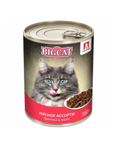 Консервы для кошек Big Cat с мясом 350 г Зоогурман