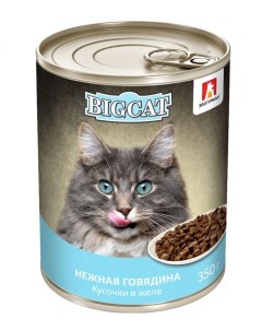 Консервы для кошек Big Cat говядина в желе 350 г Зоогурман