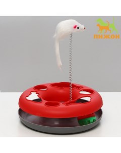 Игрушка для кошек Загадочный круг Рыбки мышь на пружине и шарик 23х7см красная серая Пижон