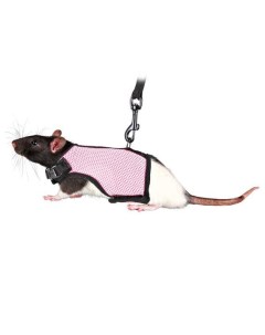 Шлейка жилетка для крыс Soft Harness S в ассортименте Trixie