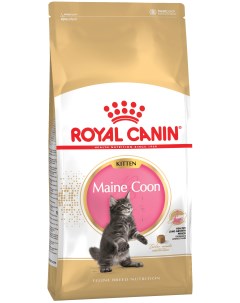 Сухой корм для котят Maine Coon Kitten 4 кг Royal canin