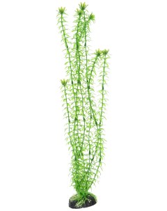 Искусственное растение для аквариума Элодея зеленая Plant 004 50 см пластик Barbus