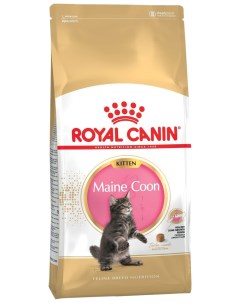 Сухой корм для котят Maine Coon Kitten мейн кун птица 4кг Royal canin