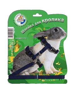 Шлейка для кроликов 13016 с поводком синий 1 5 м Зооник