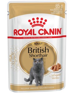 Влажный корм для кошек British Shorthair мясо рыба 85г Royal canin