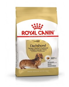 Сухой корм для собак Датчхунд породы такса 1 5 кг Royal canin