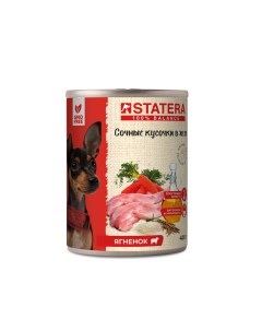 Консервы для собак сочные кусочки в желе с ягненком 6 шт по 400 г Statera
