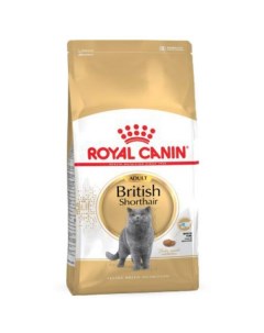 Сухой корм для кошек для британских короткошерстных кошек 10 кг Royal canin
