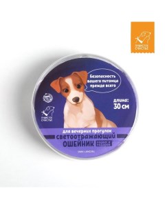 Ошейник для собак с адресником 30х1 см капрон цвет фиолетовый Пушистое счастье