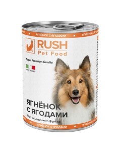 Консервы для собак RUSH ягнёнок с ягодами 400г Rush pet food