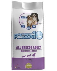 Сухой корм для собак All Breeds Adult Maintenance Maiale свинина 2 кг Forza10