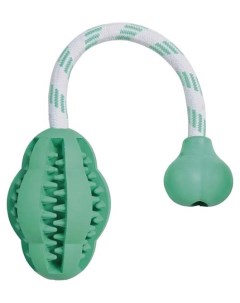 Грейфер для собак Denta Fun Мяч с веревкой зеленый 8х28 см Trixie
