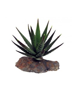 Искусственное растение для террариума Tiger Aloe пластик 8см Lucky reptile