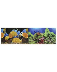 Фон для аквариума Морские кораллы Подводный мир винил 100x50 см Prime