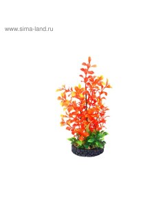 Искусственное растение для аквариума Композиция 31 22х9х6 см пластик Fauna international