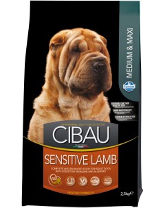 Сухой корм для собак Cibau Medium Maxi Sensitive ягненок 2 5кг Farmina