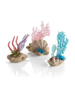 Набор декора Коралловый веер и ракушки Coral fans shells set в наборе 3шт Biorb