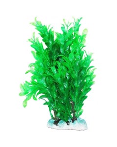 Растение аквариумное Людвигия зеленая 20 см Уют