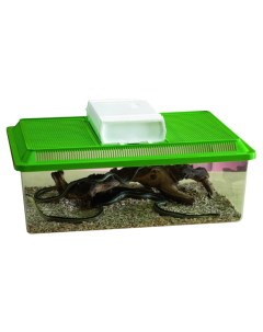 Террариум для рептилий для черепах Fauna Box Low зеленый 50 5 x 17 x 30 5 см Savic
