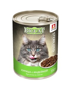 Консервы для кошек и котят Big Cat курица с индейкой в желе 350 г Зоогурман