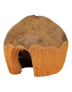 Домик для грызуна кокос 10х13х13см цвет коричневый Триол