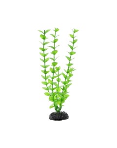 Искусственное растение для аквариума Бакопа зеленая Plant 010 20 см пластик Barbus
