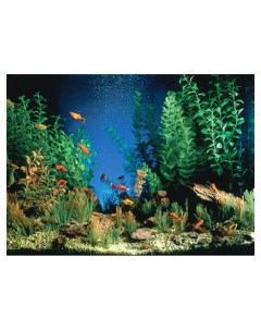 Фон для аквариума Камни винил 100x50 см Penn plax