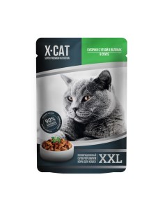 Влажный корм для кошек Premium Nutrition XXL утка в яблоке в соусе 85г X-cat