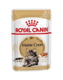 Влажный корм для кошек Maine Coon Adult мясо 85г Royal canin