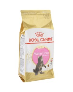 Сухой корм для котят Maine Coon Kitten мейн кун домашняя птица 2кг Royal canin
